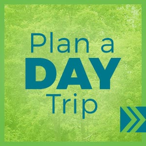 Plan a Day Trip
