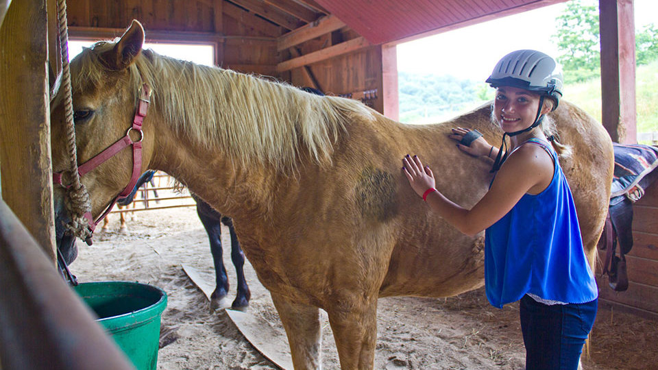 girl grooming horse